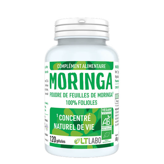 Moringa folioles bio - 1